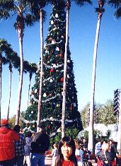 MGM�̑傫�ȃc���[